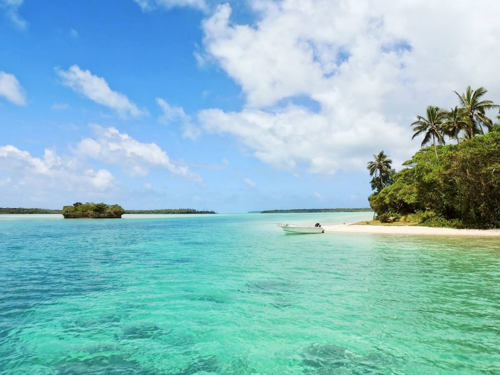 Plage tropicale avec des palmiers et une eau turquoise