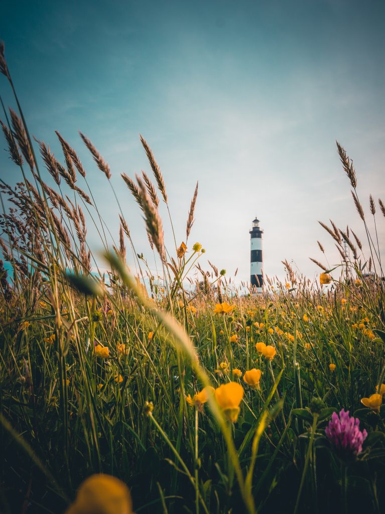 Phare île d'Oléron