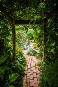 allée de jardin en pavés