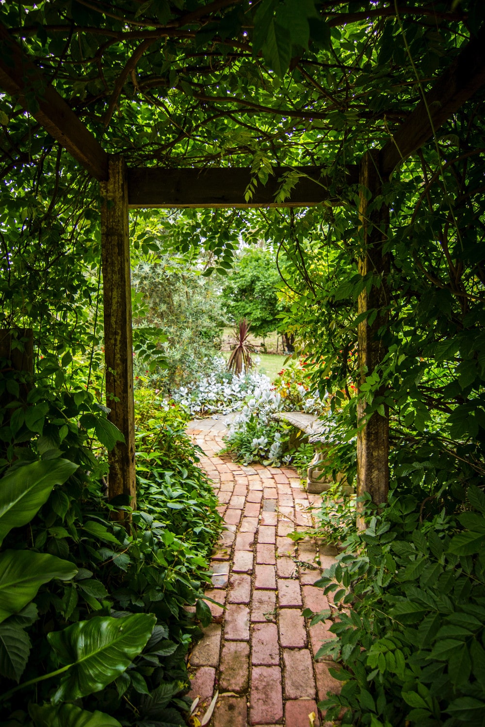 allée de jardin en pavés