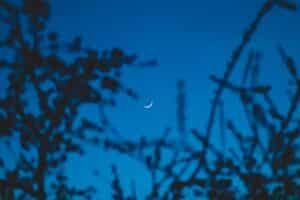 cycles lunaires femme