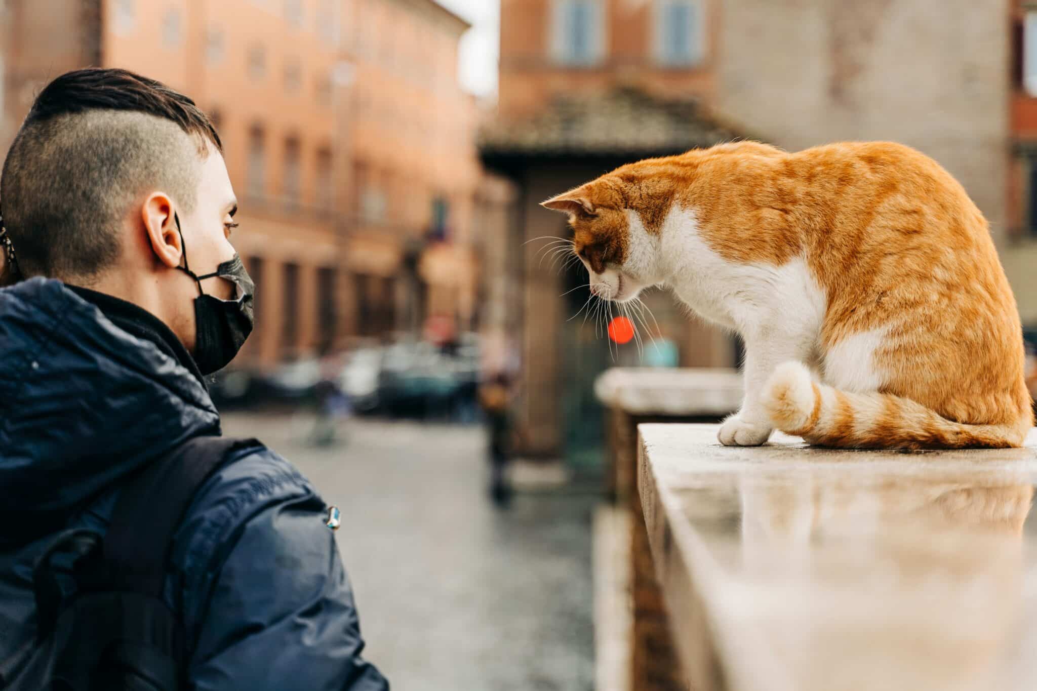 communication intuitive animaux